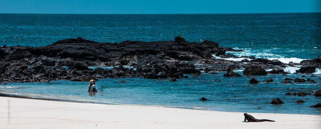 Iguana Crossing Boutique Hotel Puerto Villamil Luaran gambar