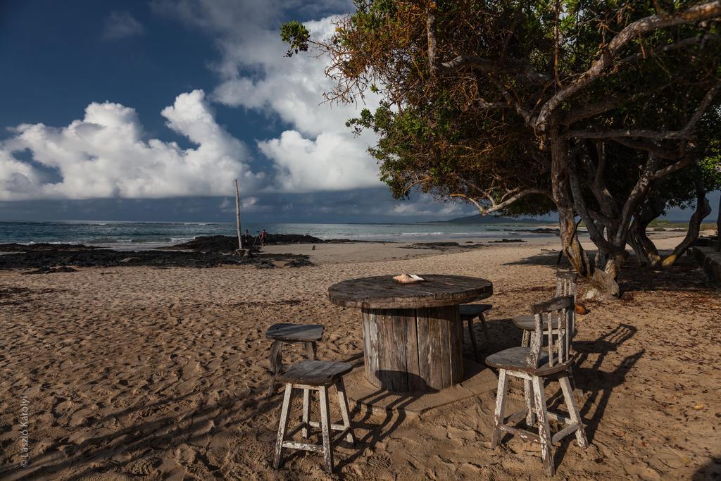 Iguana Crossing Boutique Hotel Puerto Villamil Luaran gambar