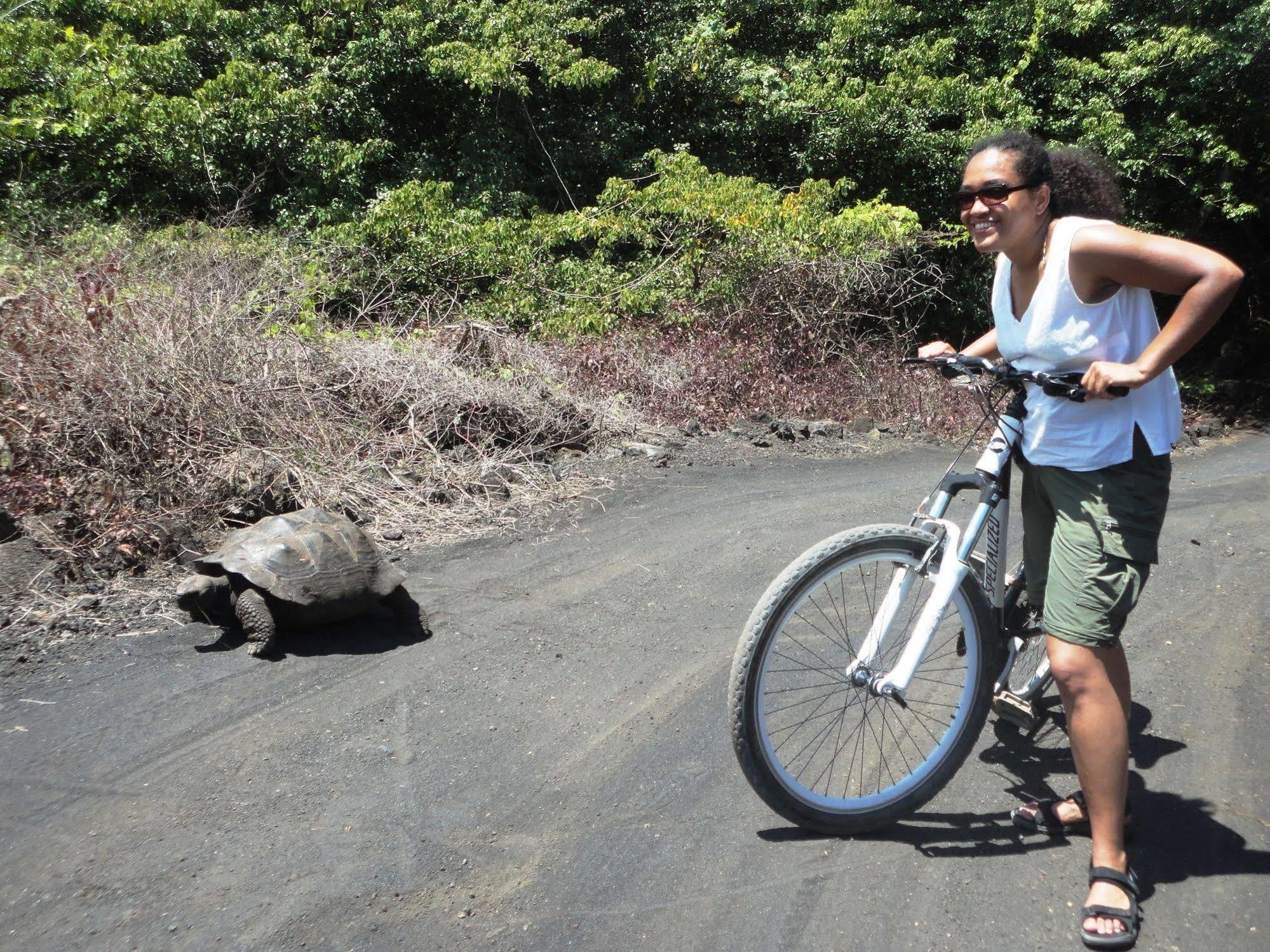 Iguana Crossing Boutique Hotel Puerto Villamil Luaran gambar